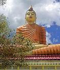 Buddha Buddha